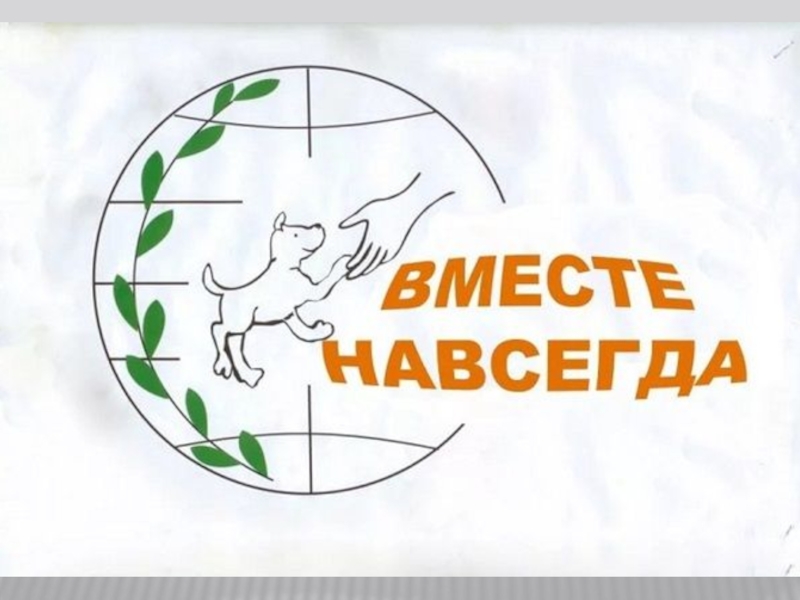 Презентация ко Дню защиты животных