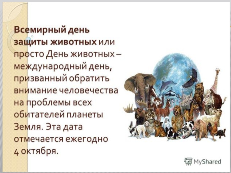 Презентация ко Дню защиты животных