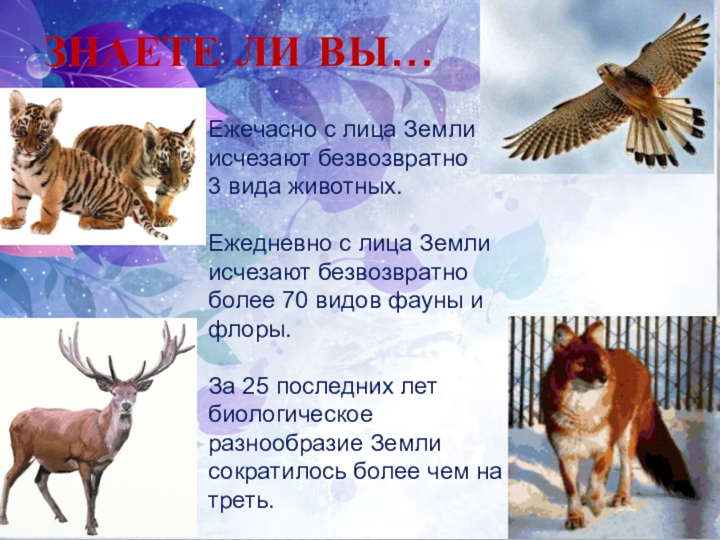 Презентация ко Дню защиты животных Ежечасно с лица Земли исчезают безвозвратно Ежечасно с лица Земли исчезают безвозвратно