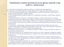 Презентация Болезни сердечно-сосудистой системы