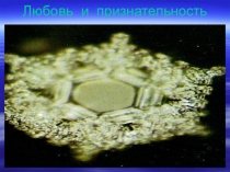 Любовь и признательность