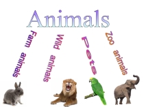 Презентация к уроку английского языка по теме Animals (3 класс)