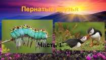 Презентация по теме:Наши пернатые(7 класс) - 1 часть