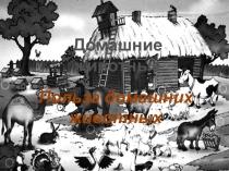 Презентация по знакомству с домашними животными