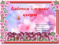 Презентация по биологии на тему Бабочки