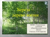 Дерево жизни