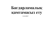 Презентация по программирование на тему  Программное обеспечение