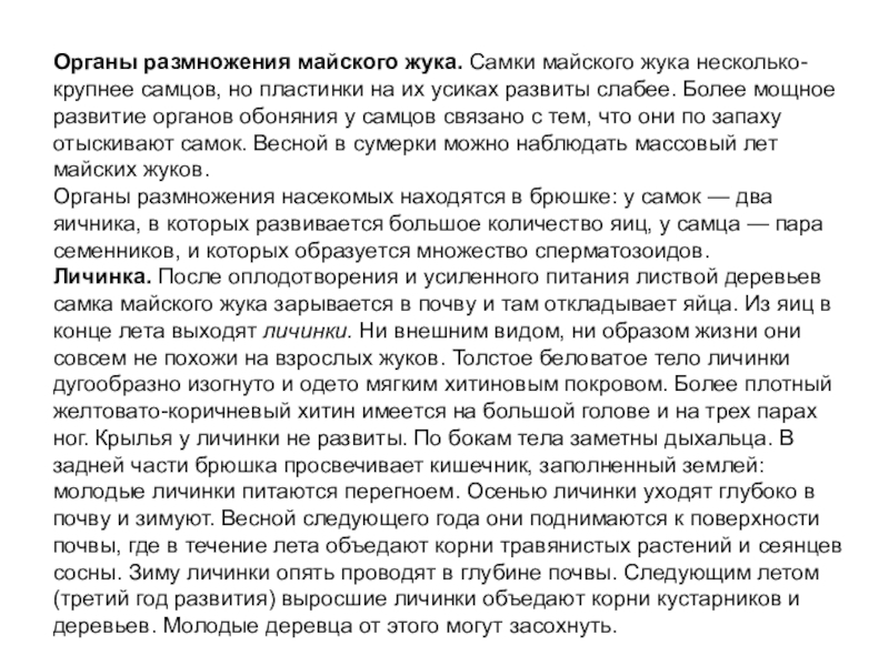 Презентация по биологии на тему Насекомые 7 класс Органы размножения майского жука. Самки майского жука несколько- крупнее самцов, но Органы размножения майского жука. Самки майского жука несколько- крупнее самцов, но пластинки на их усиках развиты слабее.