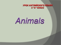 Презентация по английскому языку на тему Animals