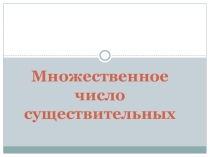 Мн.число существительных