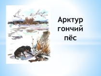 Презентация викторины по литературе Арктур - гончий пёс по произведению Казакова