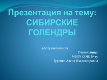 Презентация Сибирские Голендры. Образ жизни, культурные традиции.