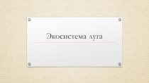 Презентация по экологии Экосистема луга