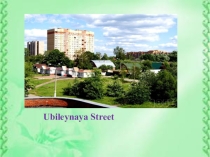 Let us know much about Ubileynaya Street in Elektrostal