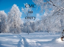 Презентация СМС на снегу