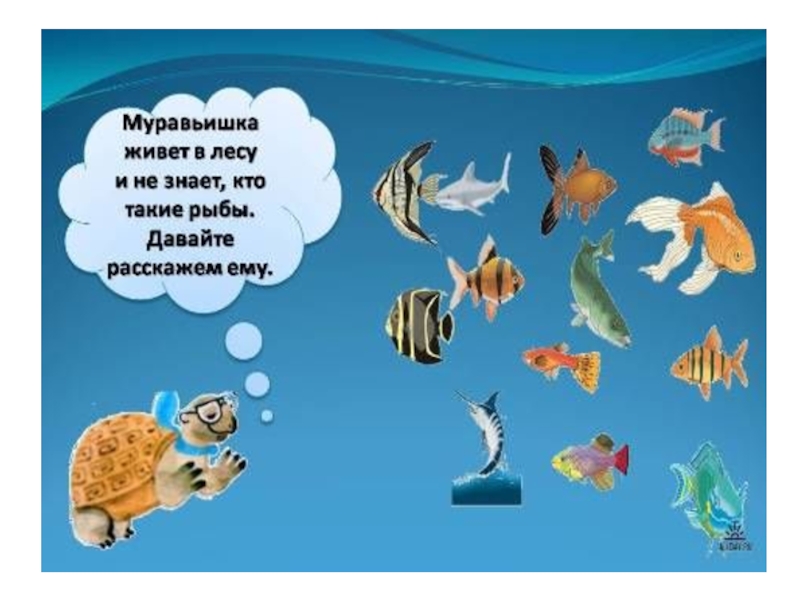 Презентация по окружающему миру на тему КТО ТАКИЕ РЫБЫ?