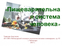 Презентация по биологии Пищеварительная система человека