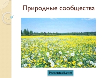Презентация по окружающему миру по теме Природные сообщества, 1 класс