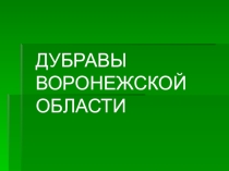 Презентация по краеведению на тему Дубравы Воронежской области