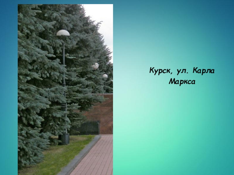 Презентация по искусству на тему:Эстетическое формирование искусством окружающей среды (9 класс) Курск, ул. Карла Маркса Курск, ул. Карла Маркса