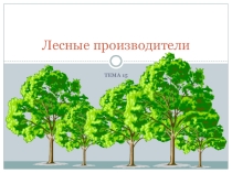 Презентация по окружающему миру Лесные производители