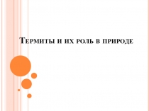 Презентация по биологии на тему Термиты и их роль в природе