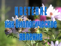 Презентация по биологии на тему Цветение как биологическое явление (5 класс)