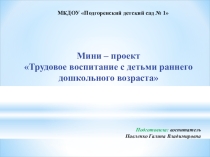 Проект-презентация Трудовое воспитание с детьми раннего дошкольного возраста