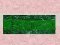 Использование ИКТ в процессе логопедического воздействия на младших школьников с речевыми нарушениями