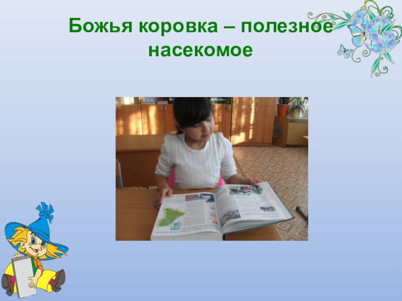 Презентация Почему божья коровка так называется Божья коровка – полезное насекомое Божья коровка – полезное насекомое