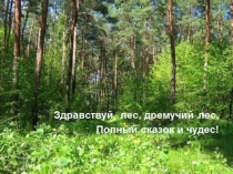 Открытый урок обж 7 класс по теме: Профилактика лесных и торфяных пожаров