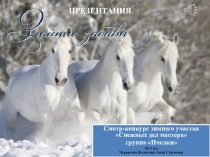 Презентация к смотр-конкурсу зимнего участка Снежных дел мастера