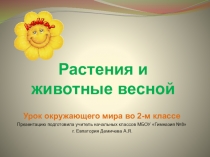 Презентация по окружающему миру Растения и животные весной