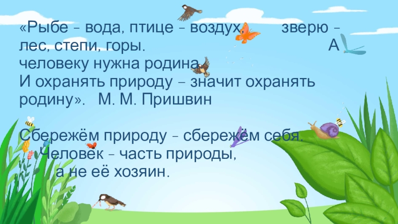Здоровая планета «Рыбе - вода, птице - воздух, зверю - лес, «Рыбе - вода, птице - воздух, зверю - лес, степи, горы.