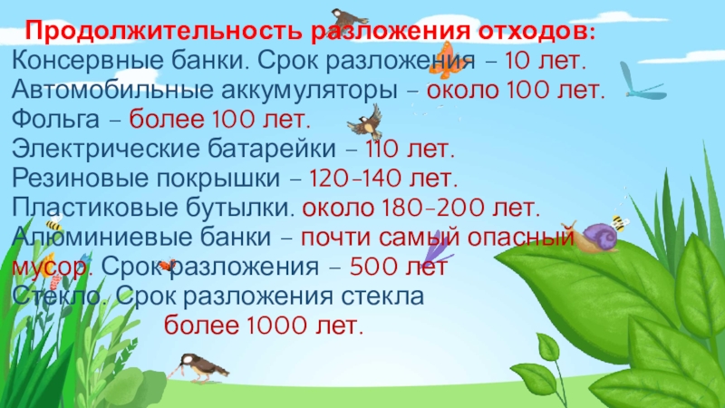 Здоровая планета Продолжительность разложения отходов: Консервные банки. Срок разложения – 10 лет. Продолжительность разложения отходов: Консервные банки. Срок разложения – 10 лет. Автомобильные аккумуляторы – около 100 лет.
