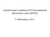Презентация по биологии на тему Лист, его строение и значение (6 класс)