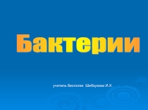 Презентация по биологии на тему Бактерии (5 класс)