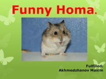 Презентация по английскому языку на тему ''My Pet