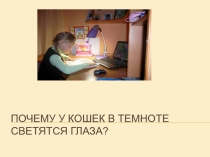 Презентация по окружающему миру