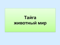 Животный мир тайги