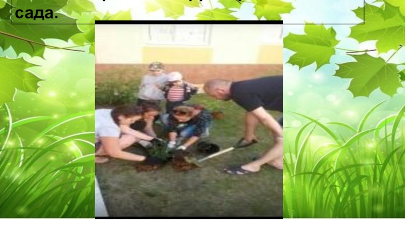 Конкурс на лучший стенд Эколята – молодые защитники Природы Тема Чудеса из семечка
