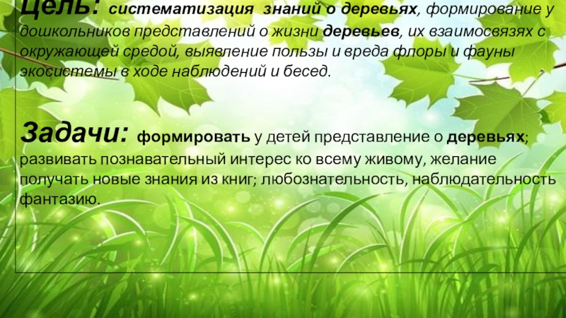 Конкурс на лучший стенд Эколята – молодые защитники Природы Тема Чудеса из семечка