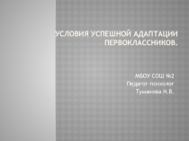 Презентация  Организация психологического сопровождения адаптации первоклассников