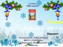 Чтение. Работа с текстом. Вариант 11