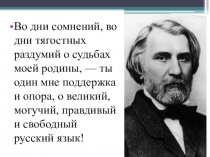 Презентация по русскому языку на тему: Берегите русский язык