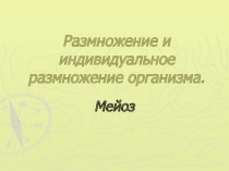 Презентация по биологии на тему Мейоз 10 класс
