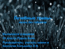 Электронная презентация Лечебные травы вместо лекарств, 10 класс