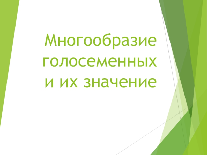 Презентация Презентация Многообразие голосеменных и их значение