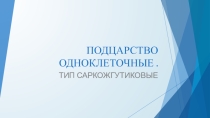 Тип Саркожгутиковые