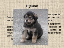 Обучающее изложение по русскому языку с презентацией Щенок
